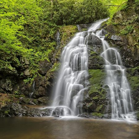 River Song, Near River, Hot Tub, Foosball, Wifi 1089 Free Tickets Each Paid Day, Dollywood And More Сев'єрвілл Екстер'єр фото
